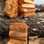 Firewood_7